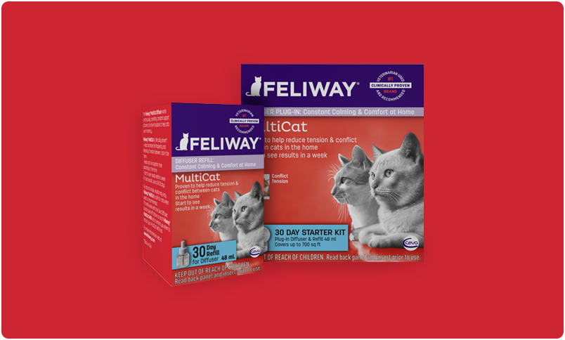 Diffuseur Feliway Help - JungleVet