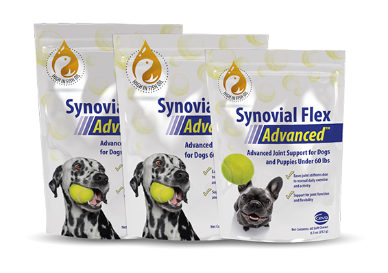 Ceva dog products online