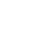 Ceva Connect