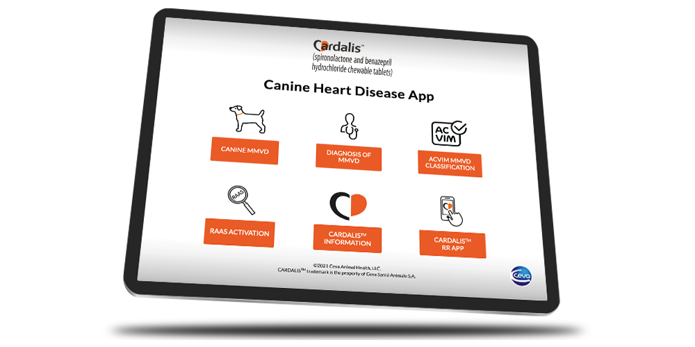 iPad Showing Canine Heart Disease App