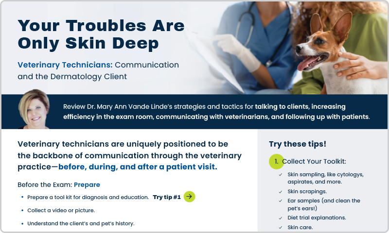Your Troubles Are Only Skin Deep CE Flyer